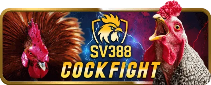 Chiến thắng lớn với game bài đổi thưởng tại vv88.com
